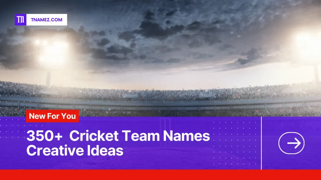 Image displaying the definition and significance of 350+ Cricket Team Names (Yes, Unique Names)